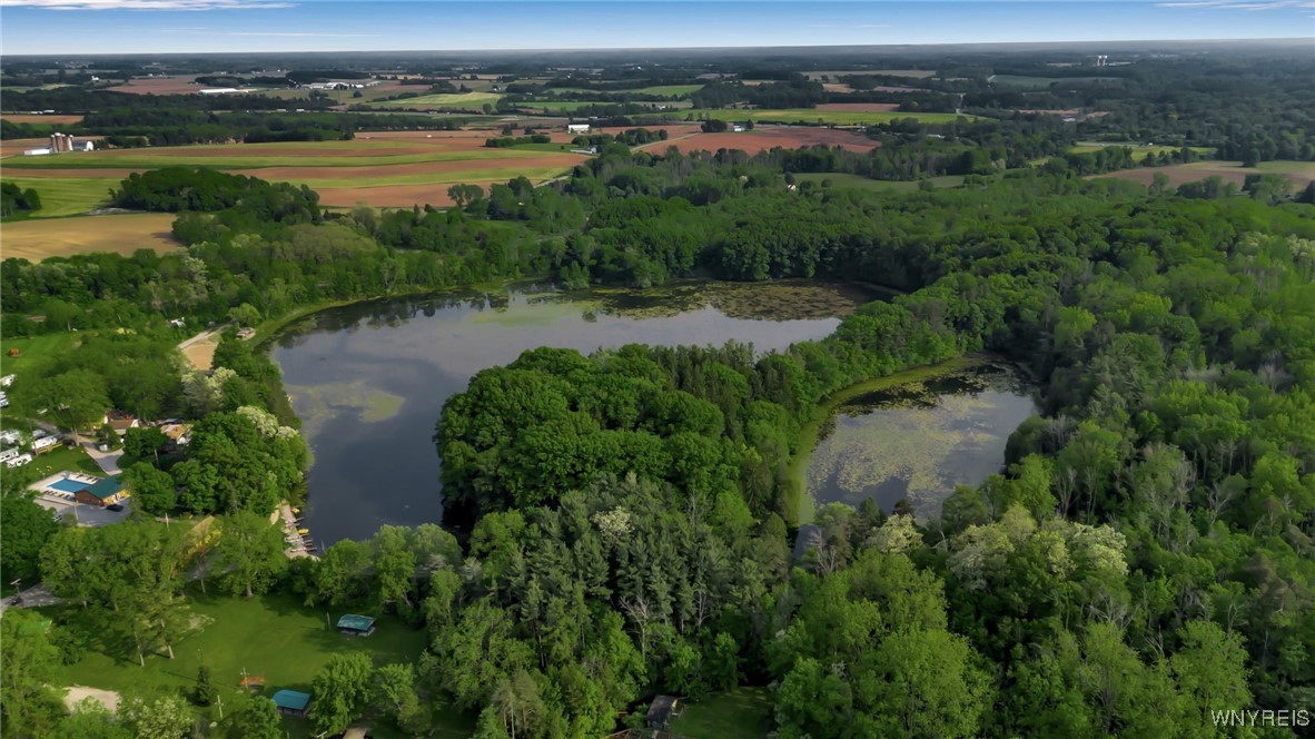 5648 Godfreys Pond, Stafford, New York image 40