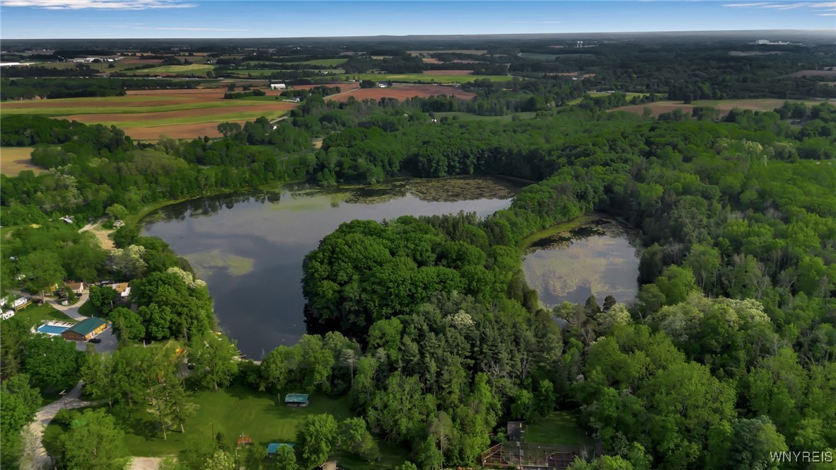 5648 Godfreys Pond, Stafford, New York image 39