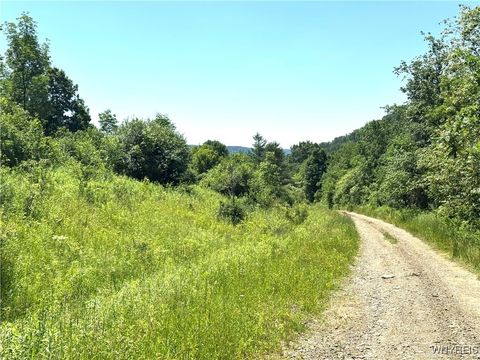 Vacant Land For Sale - Gile Hollow Road<br/> Hinsdale, NY 14743