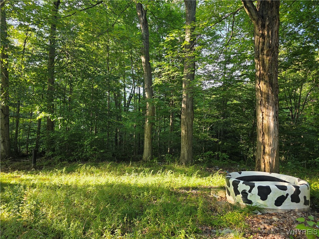 Orangeville, New York 14167, United States, 3 Bedrooms Bedrooms, ,1 BathroomBathrooms,Residential,Active,205059