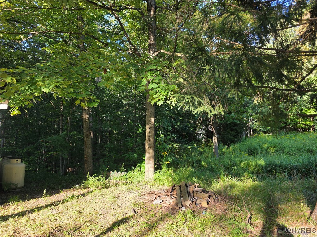 Orangeville, New York 14167, United States, 3 Bedrooms Bedrooms, ,1 BathroomBathrooms,Residential,Active,205059