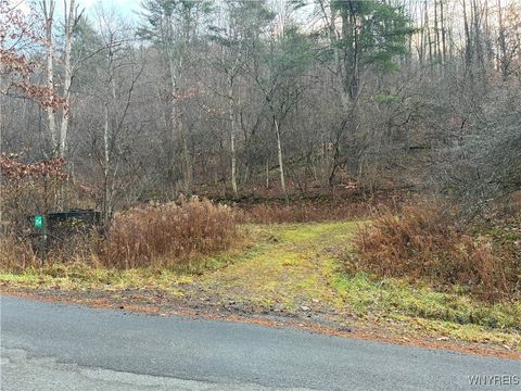 Vacant Land For Sale - Alma Hill Road<br/> Alma, NY 14895
