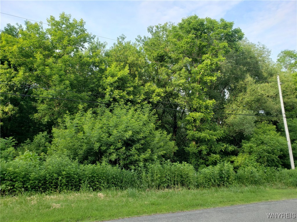 Hartland, New York 14105, United States, ,Land,Active,153079