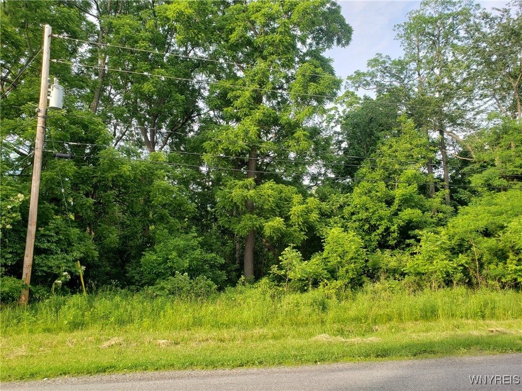 Hartland, New York 14105, United States, ,Land,Active,153079