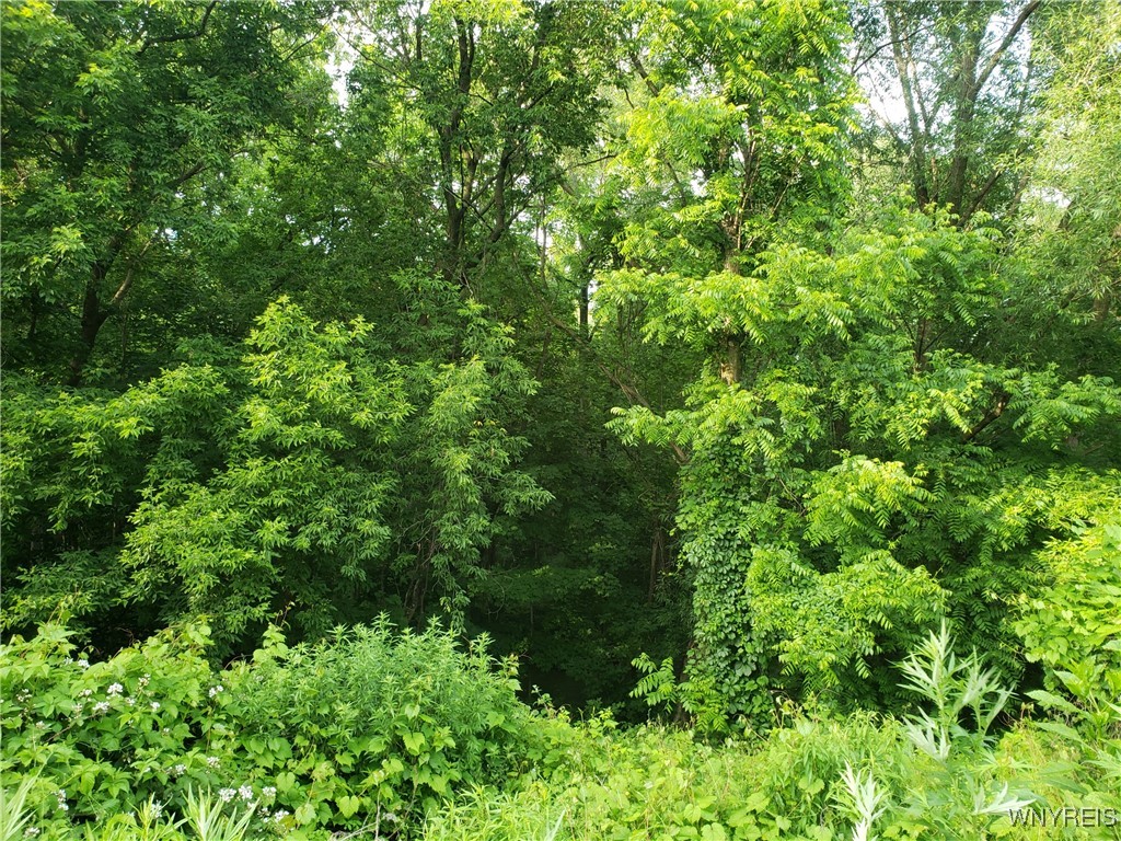 Hartland, New York 14105, United States, ,Land,Active,153079