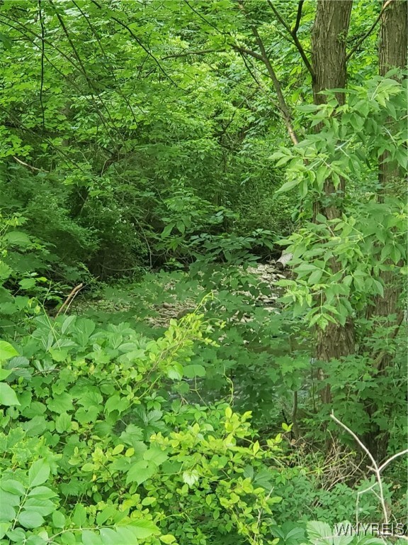 Hartland, New York 14105, United States, ,Land,Active,153079