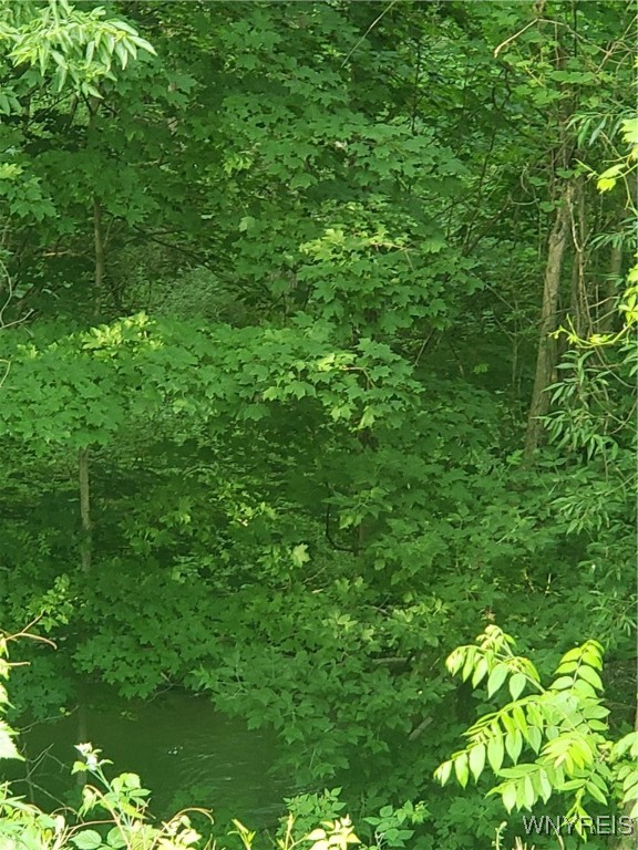 Hartland, New York 14105, United States, ,Land,Active,153079