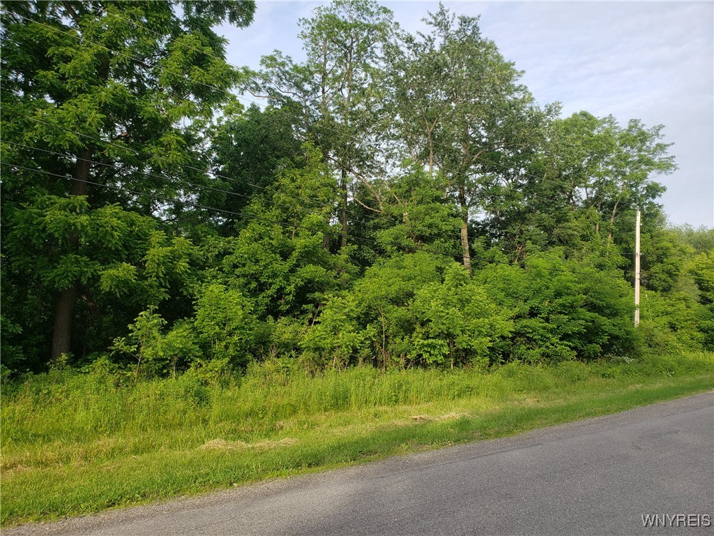 Hartland, New York 14105, United States, ,Land,Active,153079 Hartland, New York 14105, United States, ,Land,Active,153079