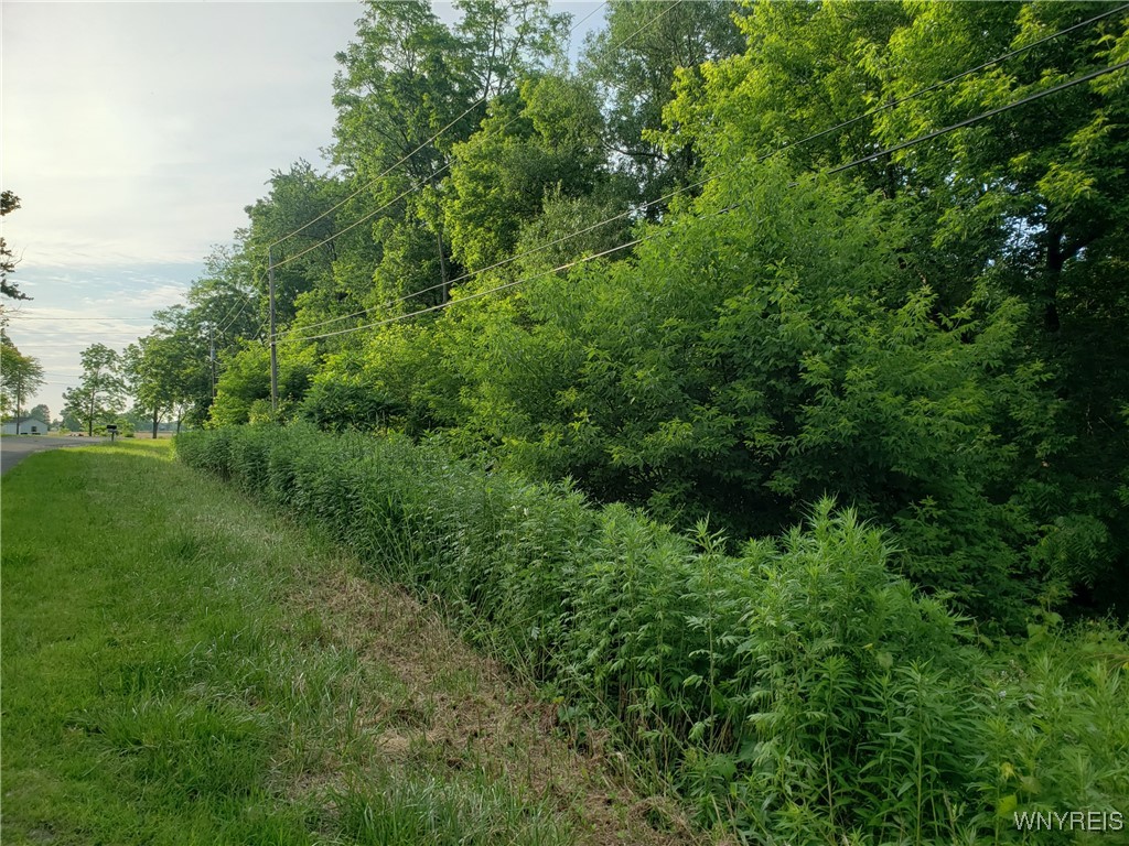 Hartland, New York 14105, United States, ,Land,Active,153079