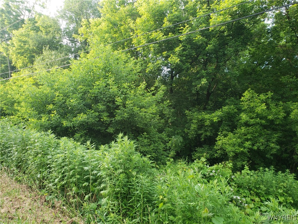 Hartland, New York 14105, United States, ,Land,Active,153079