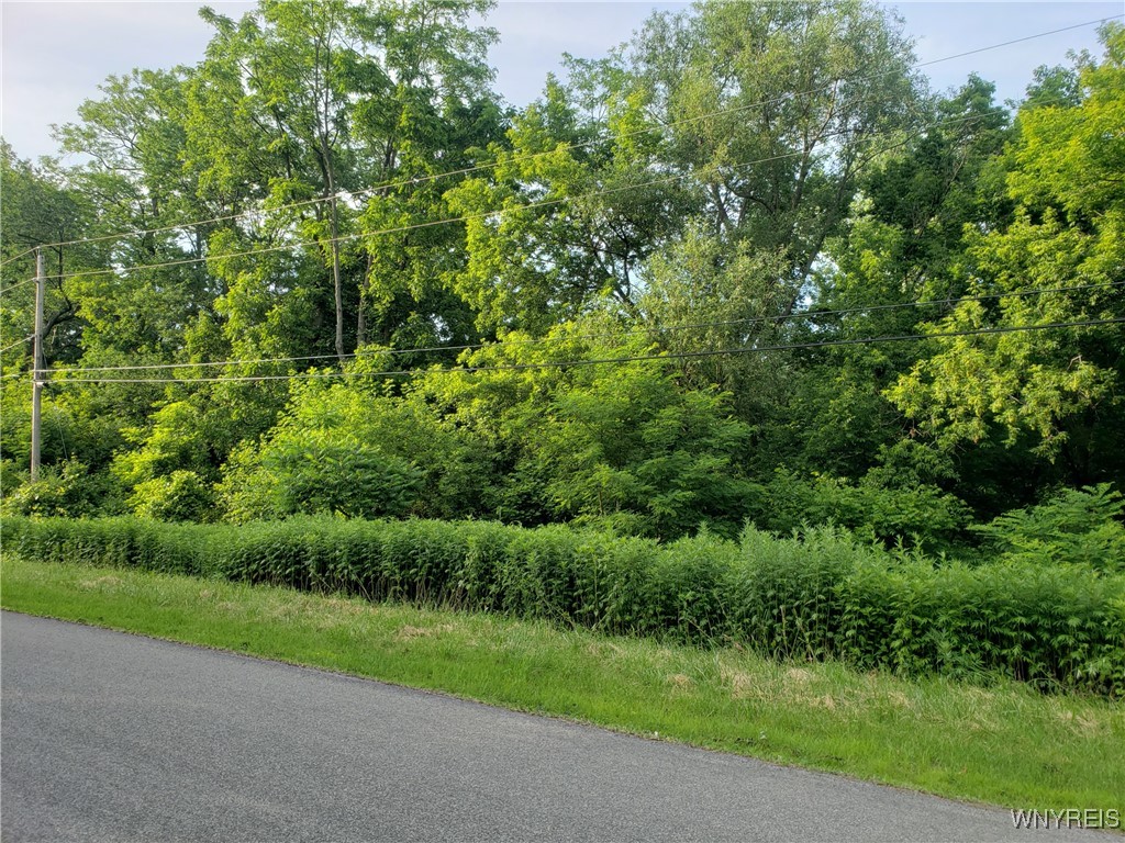 Hartland, New York 14105, United States, ,Land,Active,153079