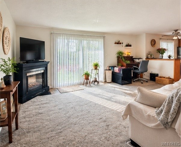 70 Foxberry Drive A