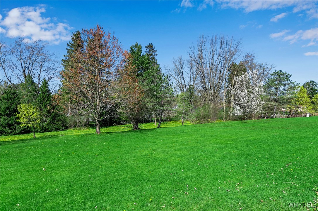 33 Brookins Green Drive, Orchard Park, New York image 45