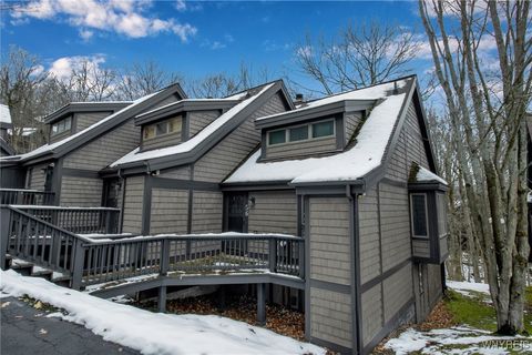 56 Valley View Ellicottville NY 14731