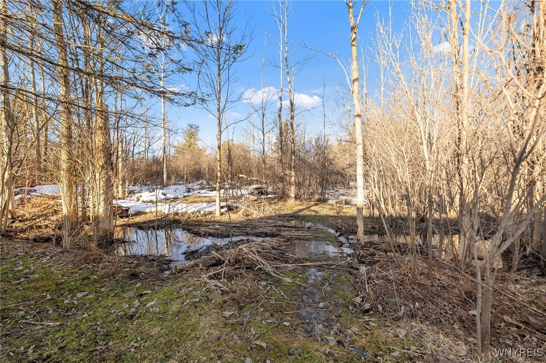 862 Two Rod Road #S, Marilla, New York image 45