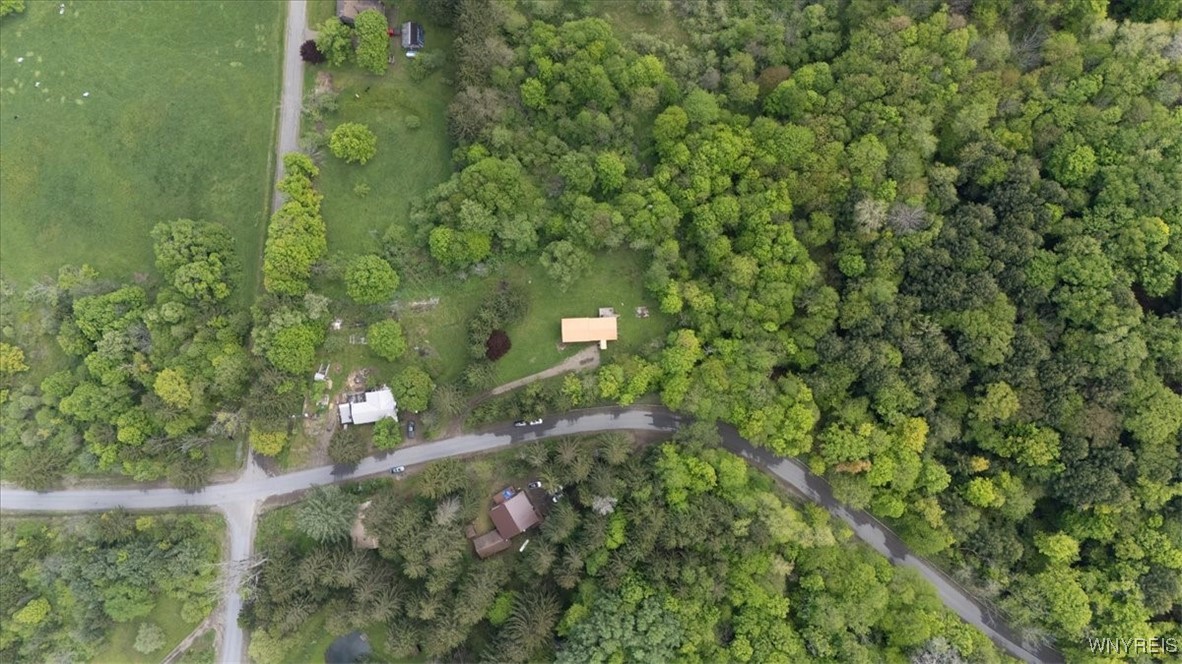 8726 Crumb Hill Road, East Otto, New York image 6