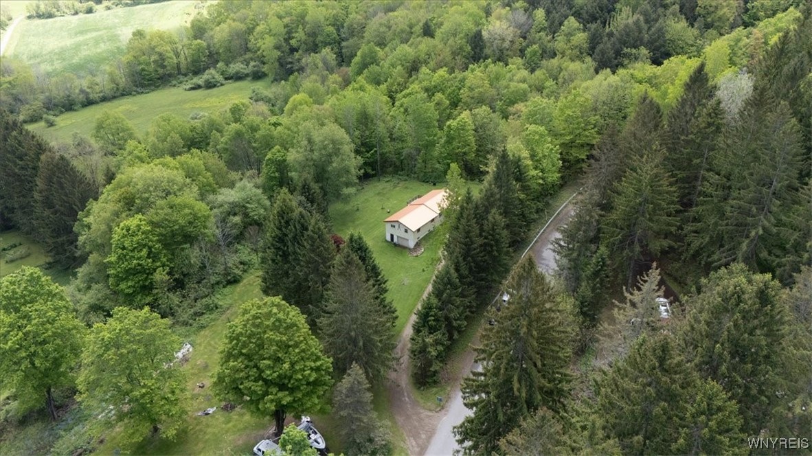 8726 Crumb Hill Road, East Otto, New York image 5