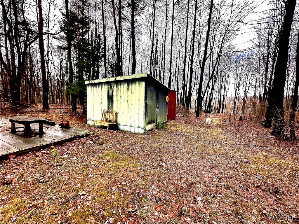 3631 Pine Ridge Road, Clarksville, New York image 3