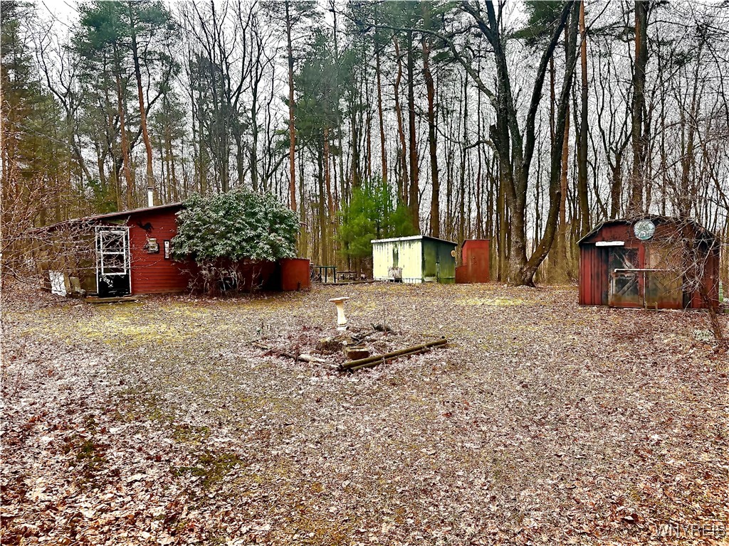 3631 Pine Ridge Road, Clarksville, New York image 1