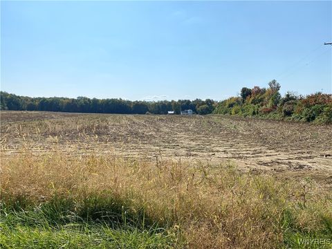 Mobile Home For Sale - V/L Schintzius Road<br/> Eden, NY 14057