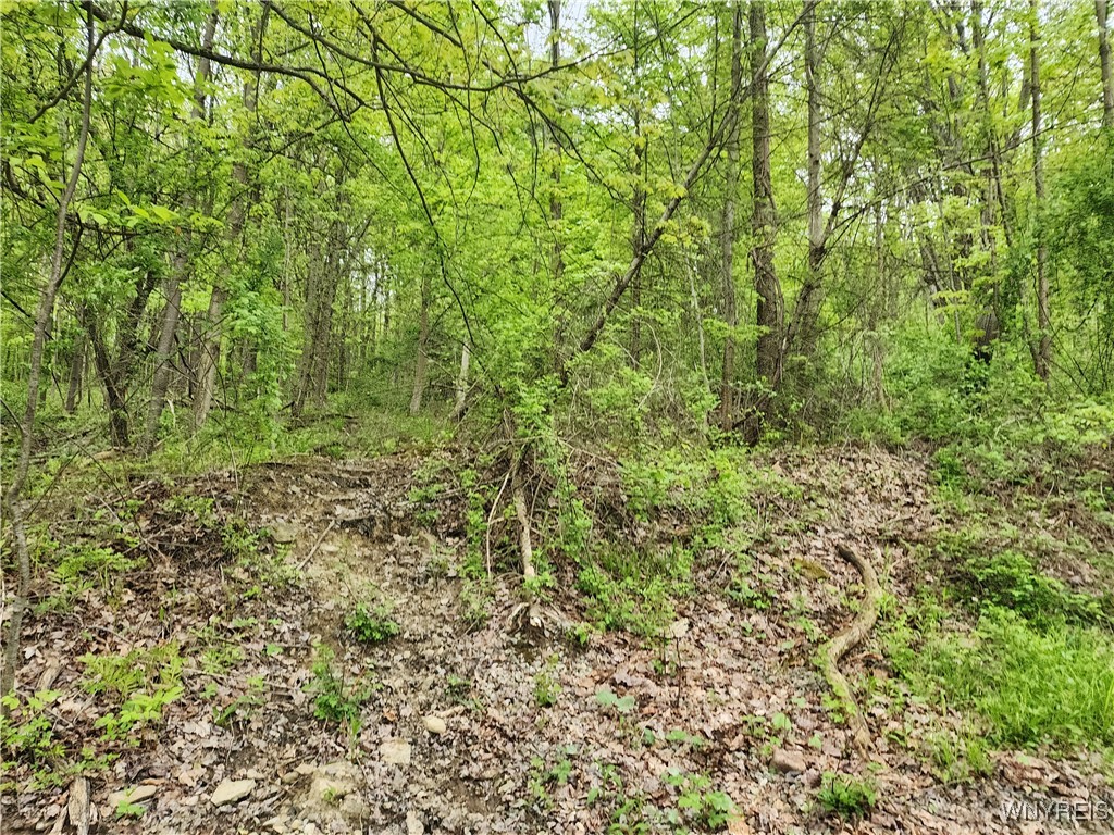 Utley Road, East Otto, New York image 14