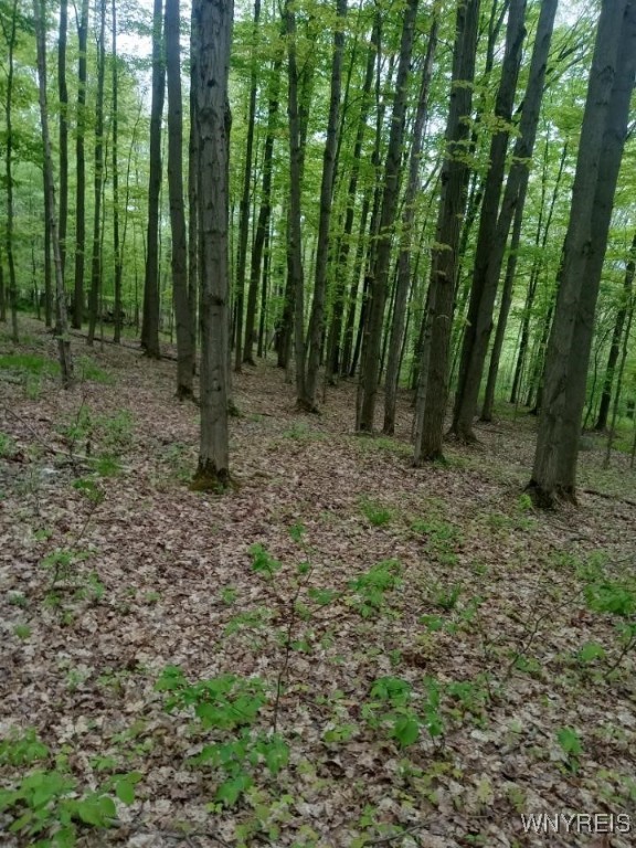 Utley Road, East Otto, New York image 16