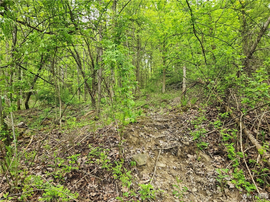 Utley Road, East Otto, New York image 13