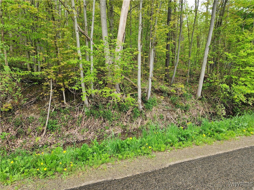 Utley Road, East Otto, New York image 1