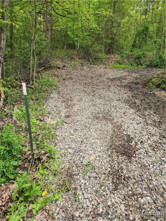 Utley Road, East Otto, New York image 2