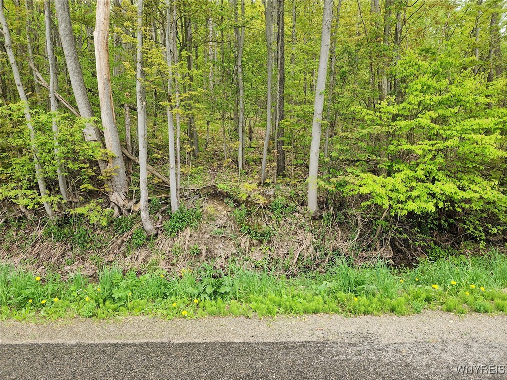 Utley Road, East Otto, New York image 11