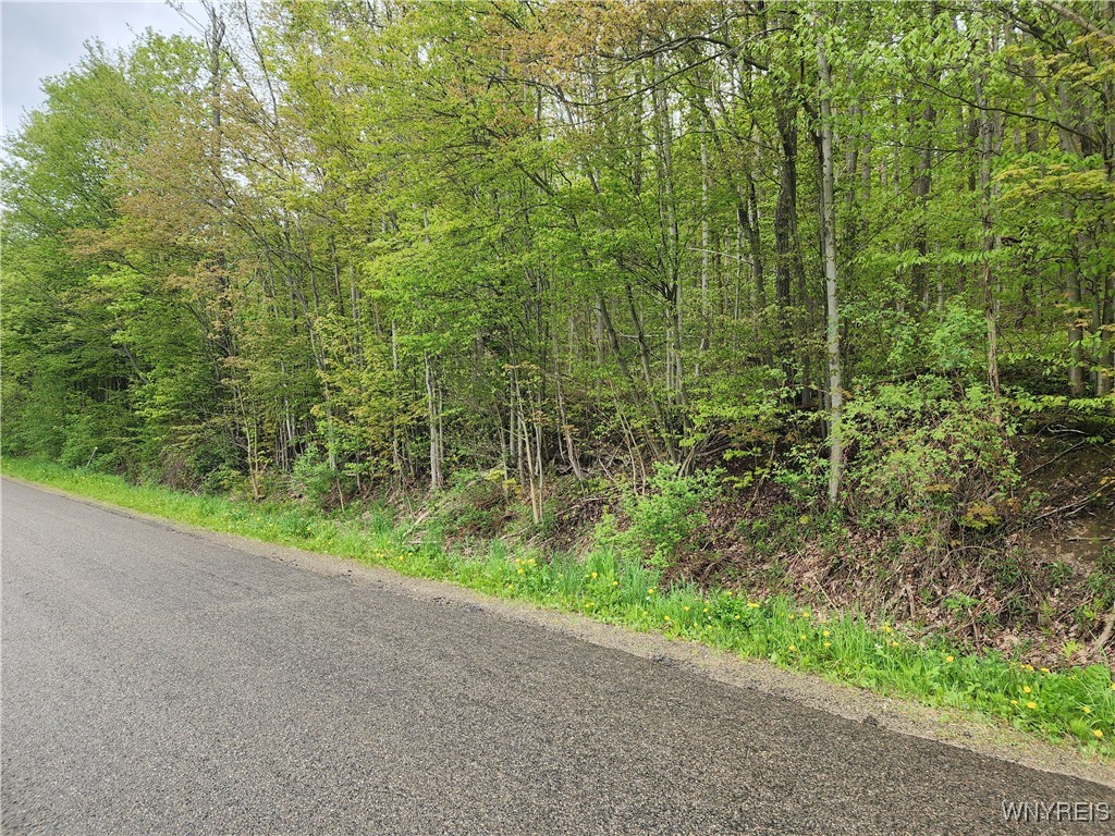 Utley Road, East Otto, New York image 10