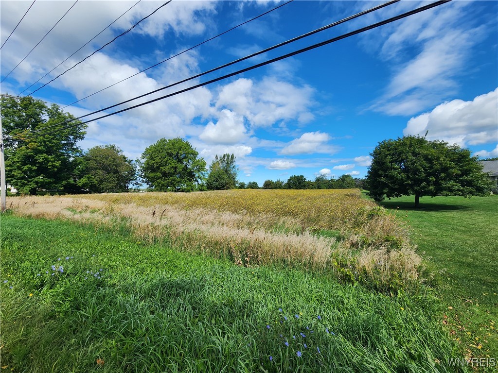 Shelby, New York 14103, United States, ,Land,Active,40616