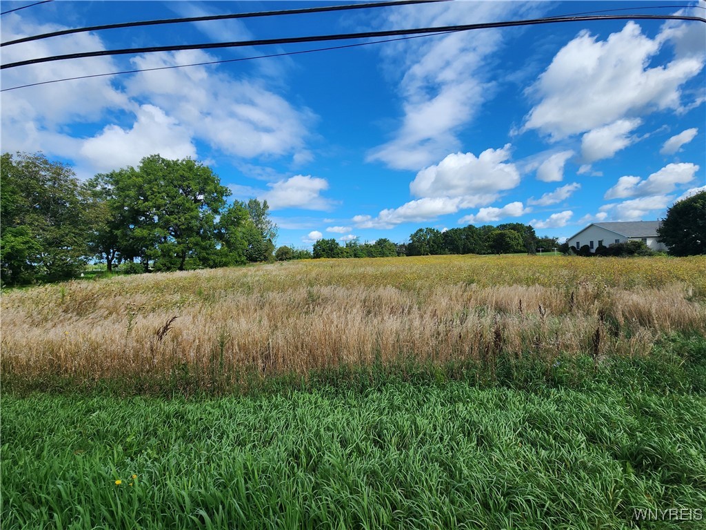 Shelby, New York 14103, United States, ,Land,Active,40616