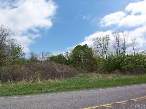 Vacant Land For Sale - Pearl & Wortendyke Road<br/> Batavia, NY 14020