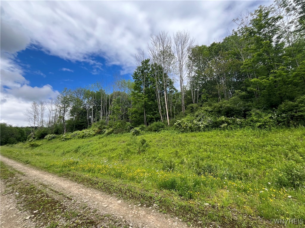 TBB Lot #5 42 Degrees North, Ellicottville, New York image 1