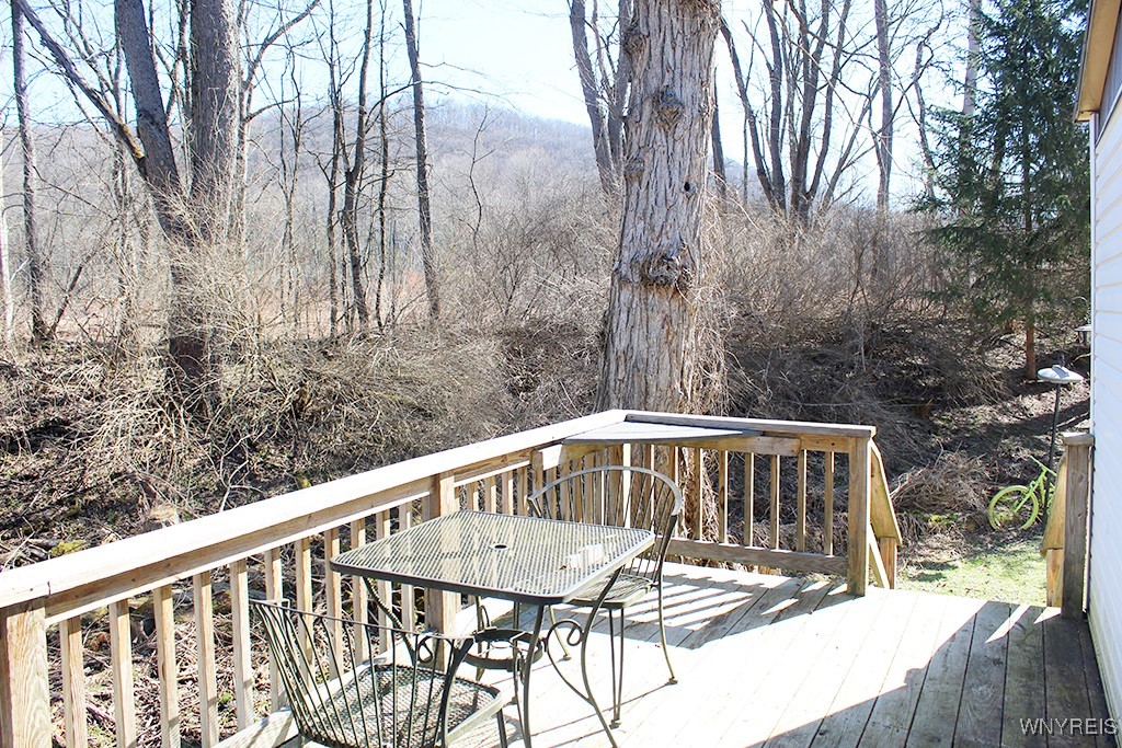 6D Sunup, Ellicottville, New York image 29