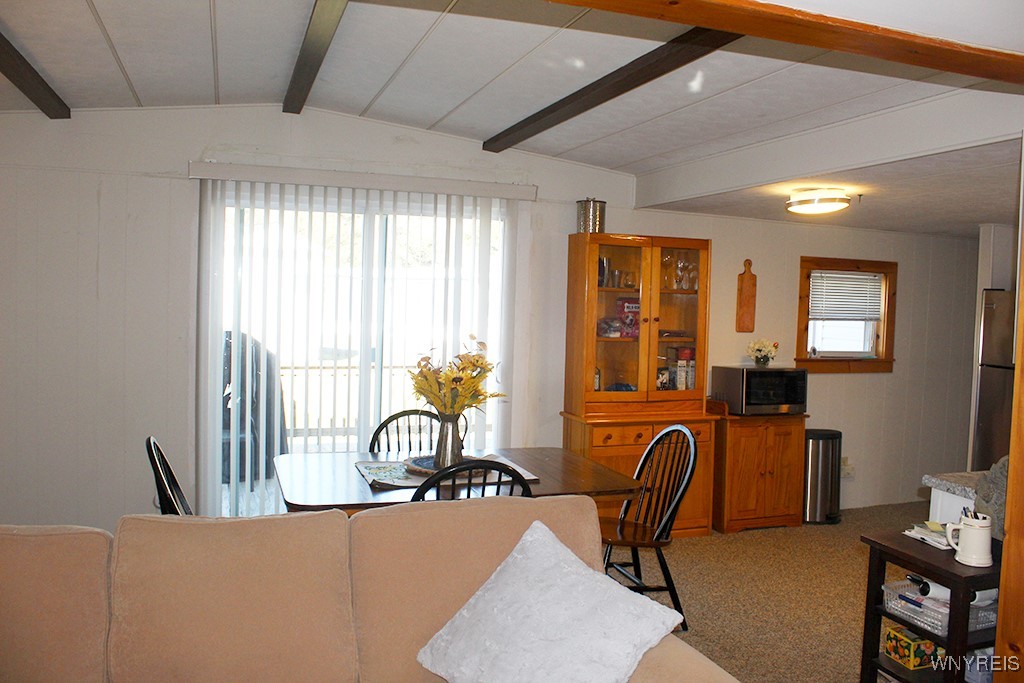 6D Sunup, Ellicottville, New York image 25