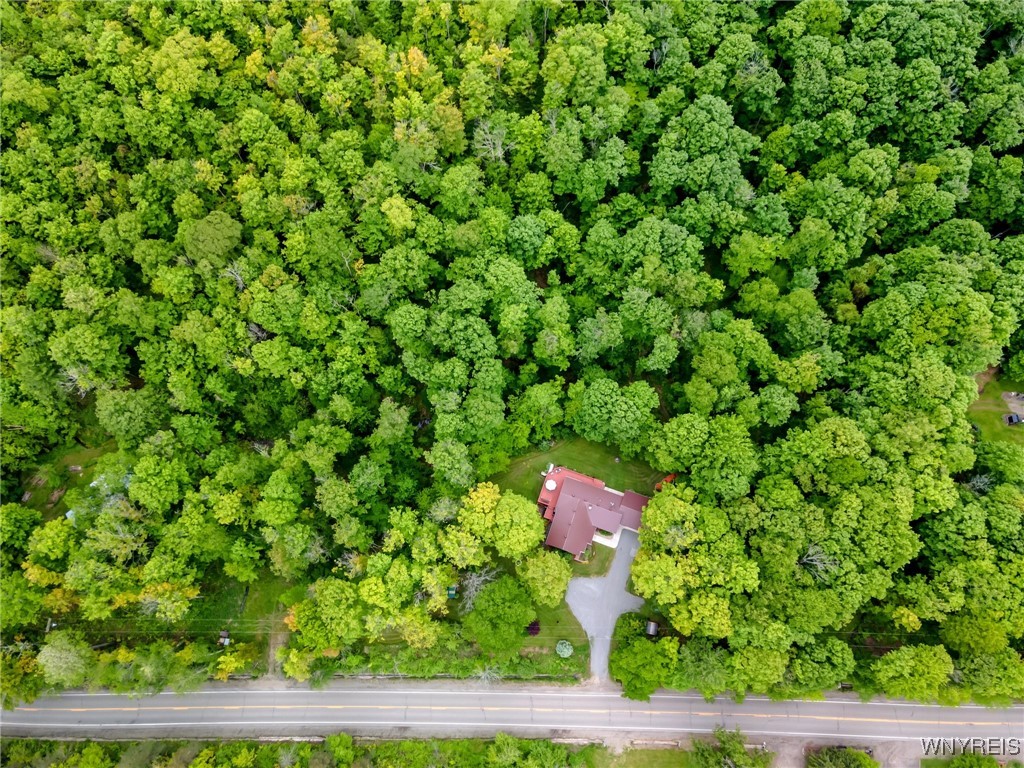 9485 Peck Hill Road, Dayton, New York image 3