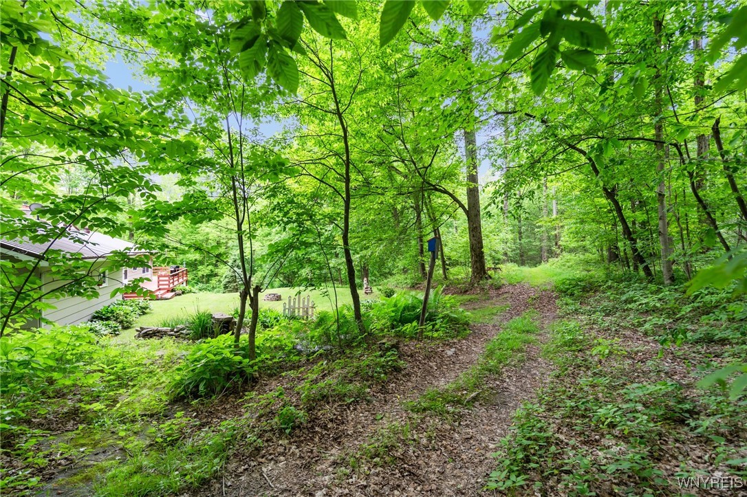 9485 Peck Hill Road, Dayton, New York image 39