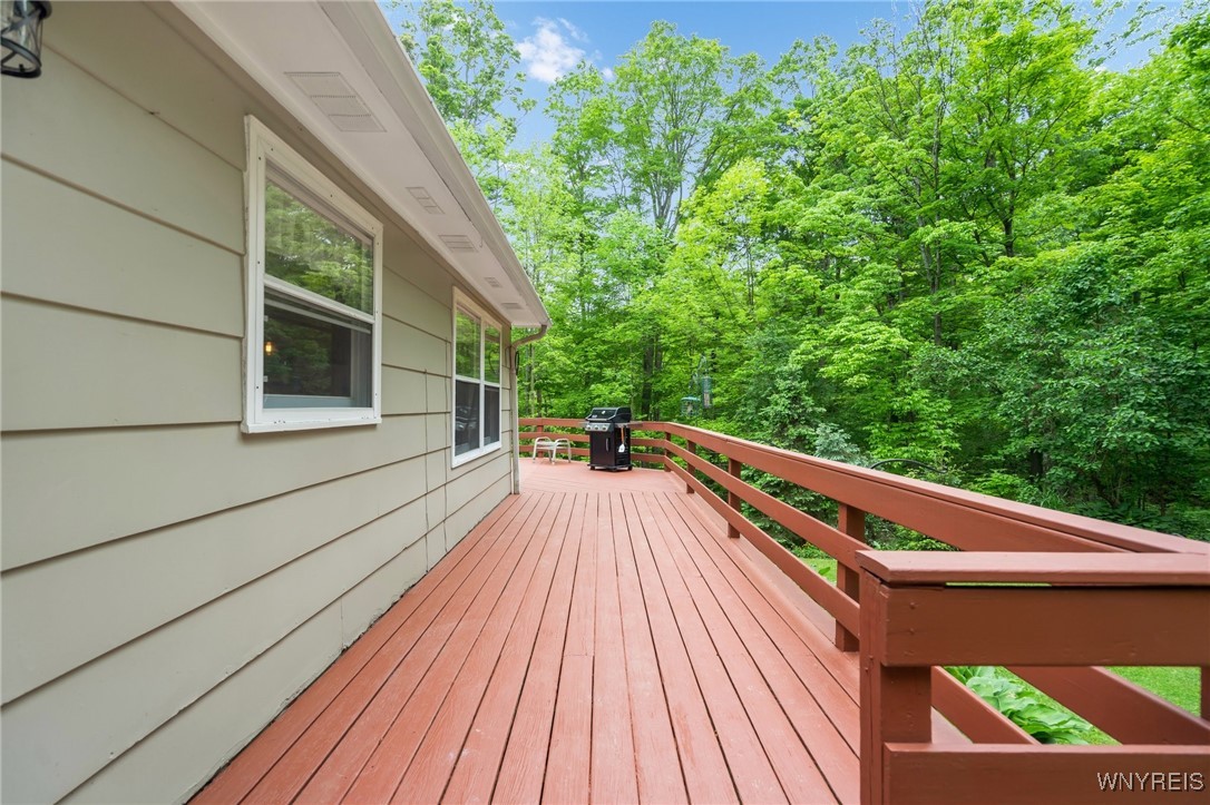 9485 Peck Hill Road, Dayton, New York image 44