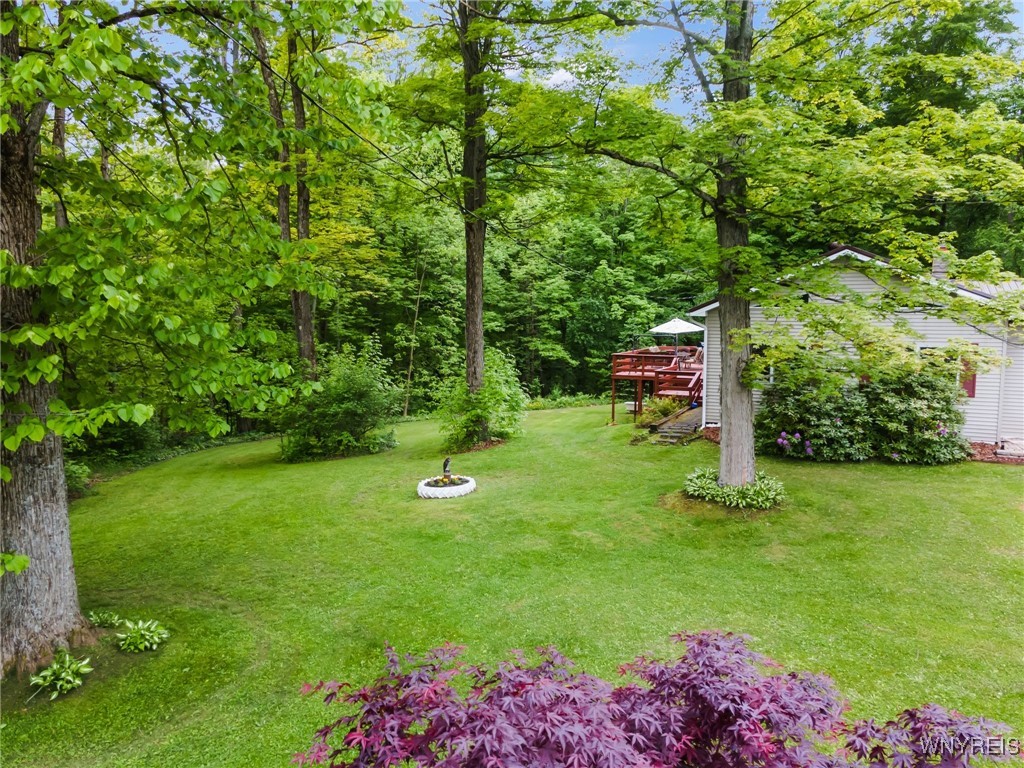 9485 Peck Hill Road, Dayton, New York image 50