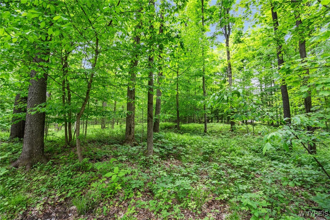 9485 Peck Hill Road, Dayton, New York image 6