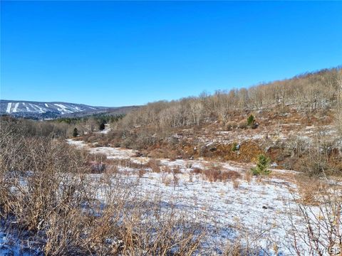 Vacant Land For Sale - 6801 Horn Hill Road<br/> Ellicottville, NY 14731