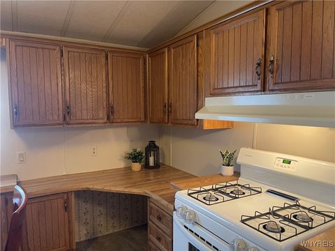 Tiny photo for 11 Melody Lane, Cheektowaga, NY 14225 (MLS # B1648757)