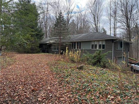 Homes For Sale - 380 Chairfactory Road<br/> Elma, NY 14059