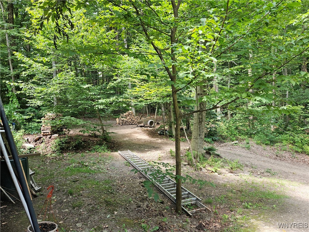 7550 Meyer Hill Road, East Otto, New York image 8