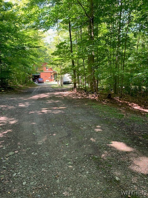 7550 Meyer Hill Road, East Otto, New York image 41
