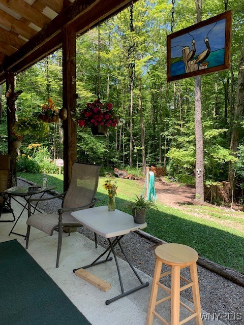 7550 Meyer Hill Road, East Otto, New York image 43