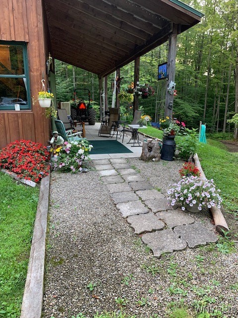 7550 Meyer Hill Road, East Otto, New York image 44