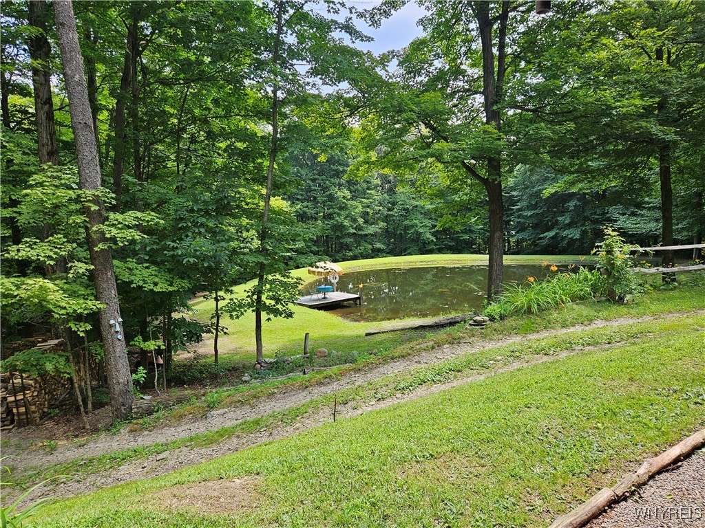 7550 Meyer Hill Road, East Otto, New York image 5